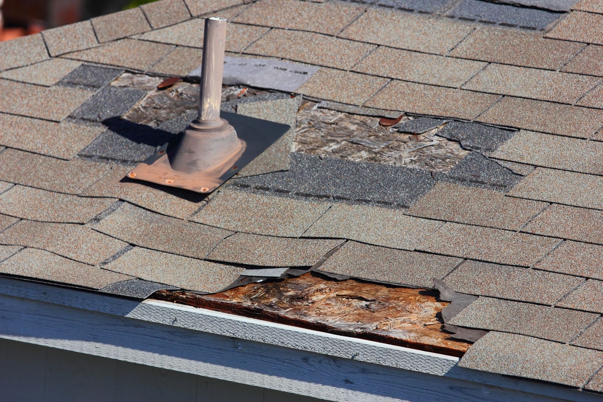 Damaged roof shingles.